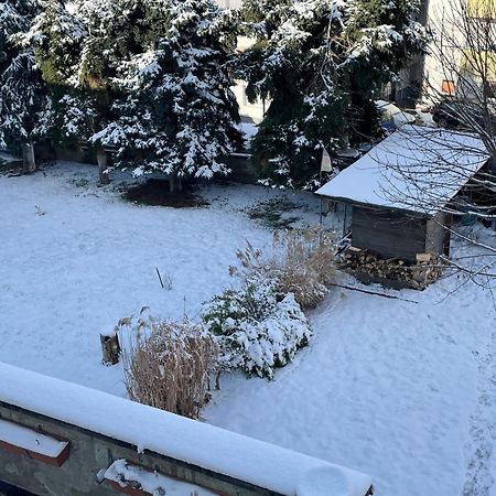 Ferienwohnung Dieblich An Der Mosel المظهر الخارجي الصورة