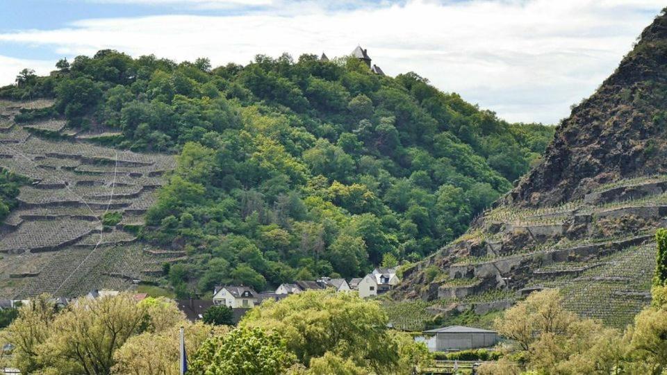 Ferienwohnung Dieblich An Der Mosel المظهر الخارجي الصورة