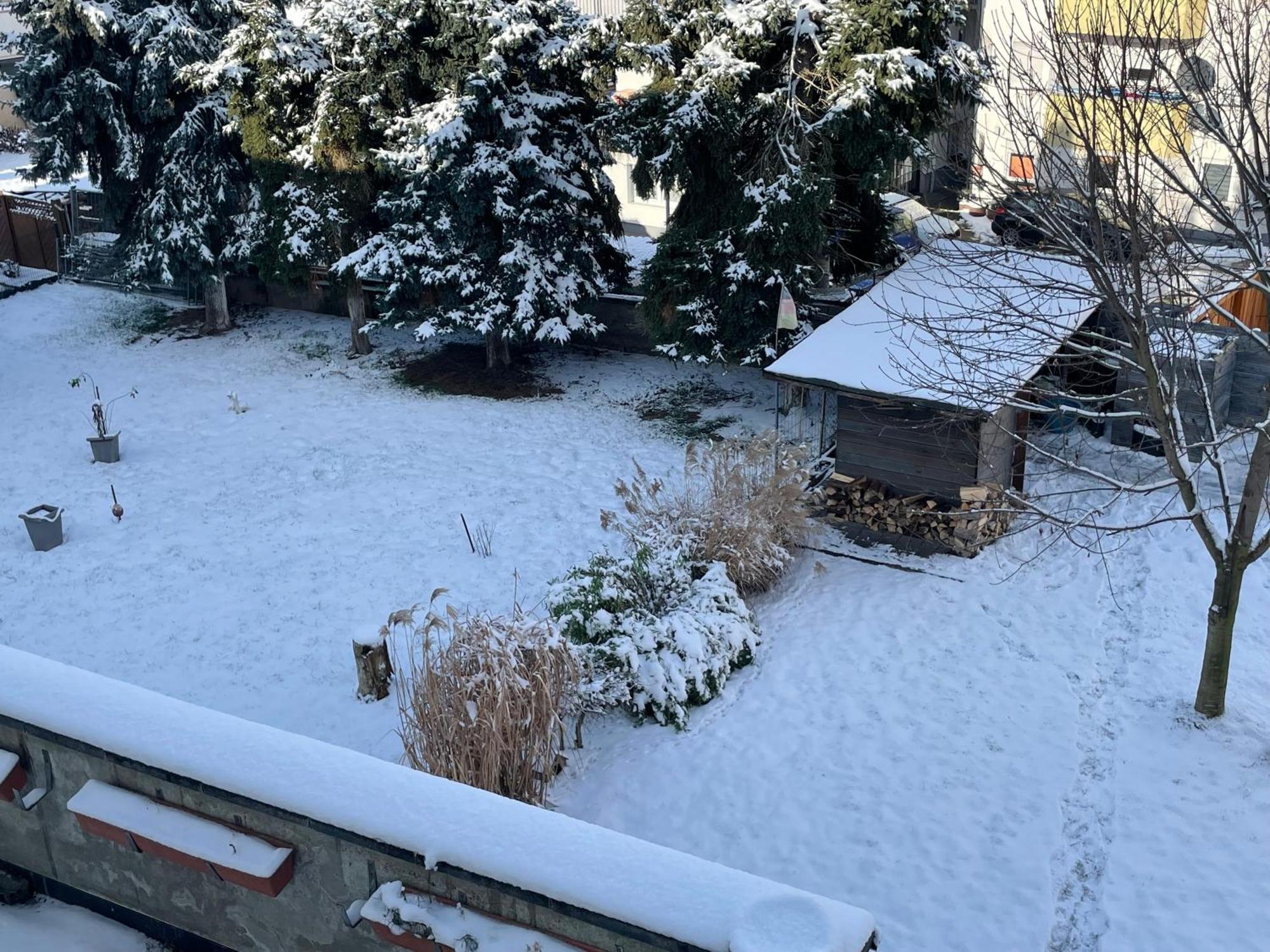 Ferienwohnung Dieblich An Der Mosel المظهر الخارجي الصورة