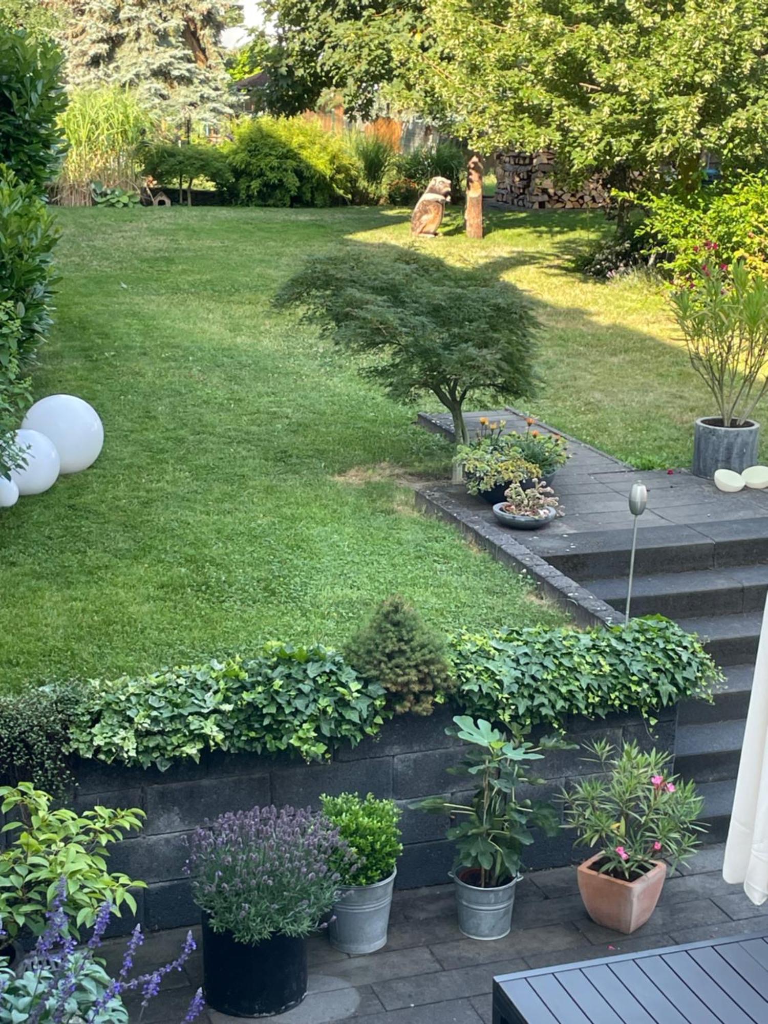 Ferienwohnung Dieblich An Der Mosel المظهر الخارجي الصورة